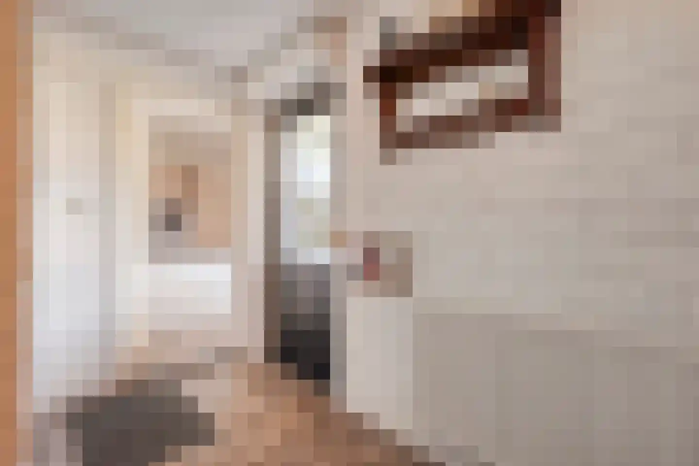 Zwaluwstraat 1 de Lutte thumbnail 11