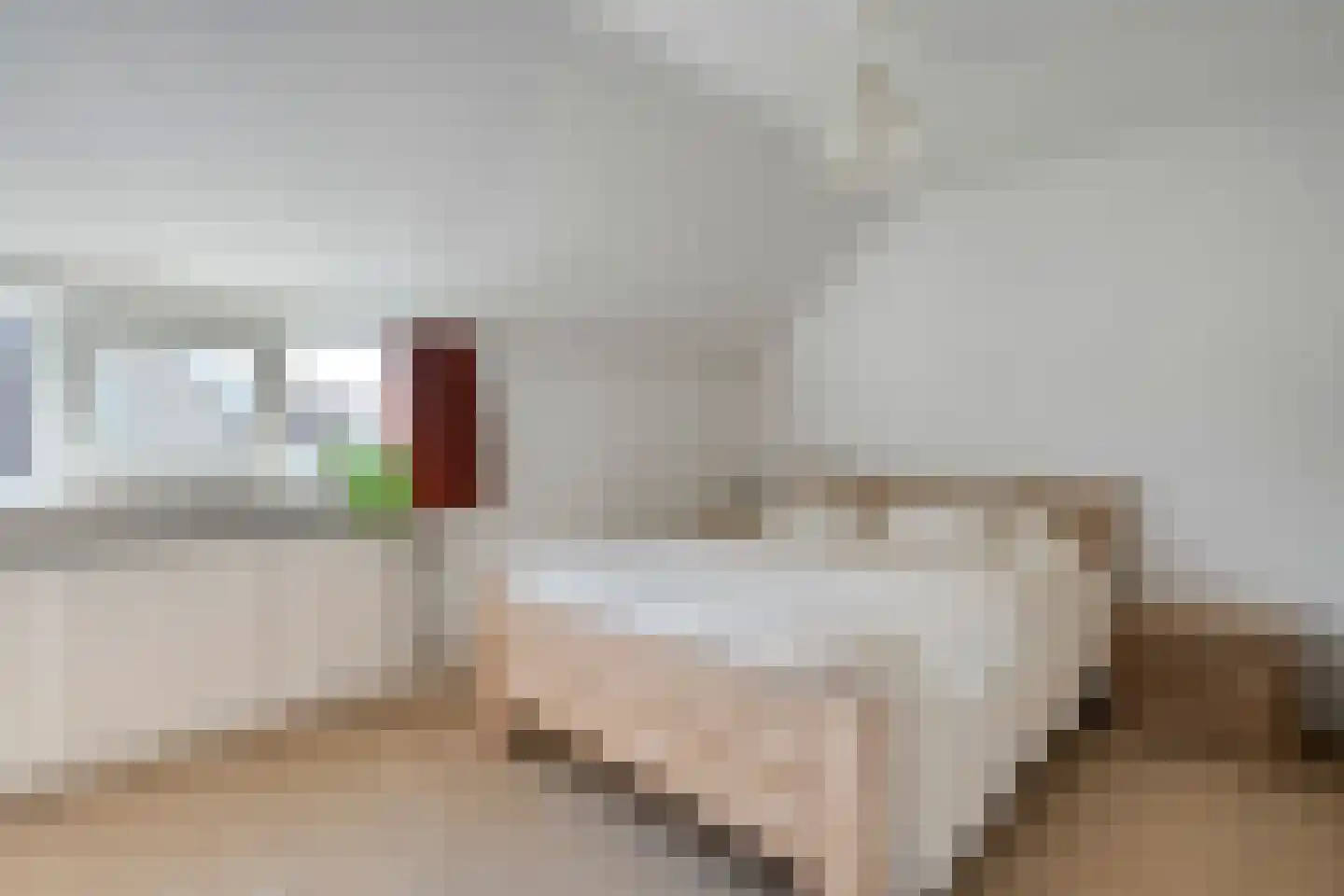 Zwaluwstraat 1 de Lutte thumbnail 16