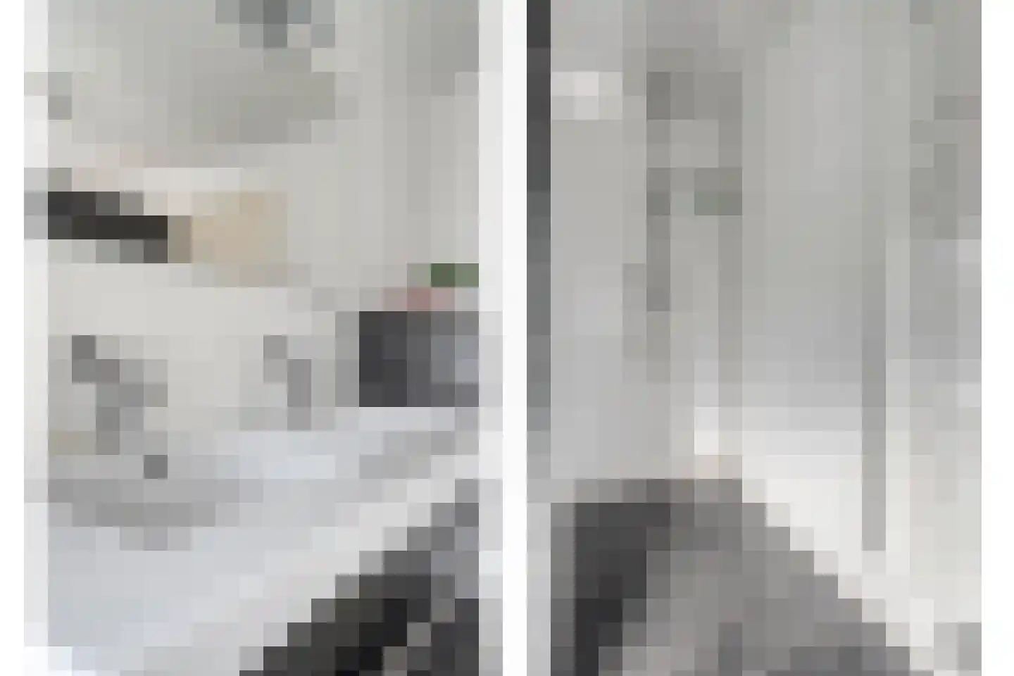 Zwaluwstraat 1 de Lutte thumbnail 23