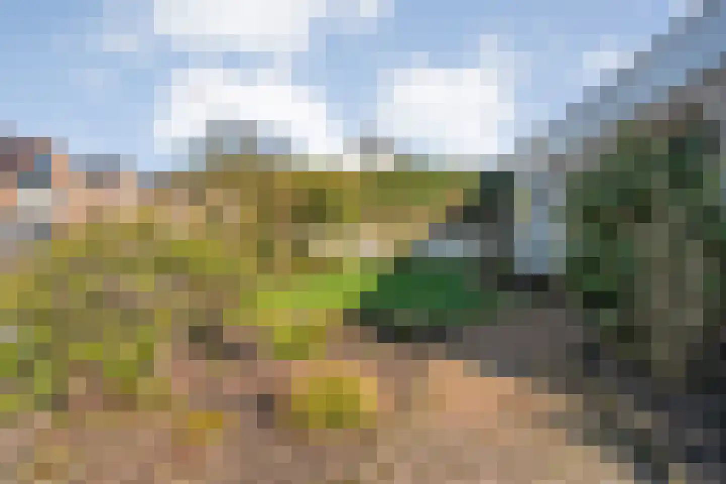 Zwaluwstraat 1 de Lutte thumbnail 28