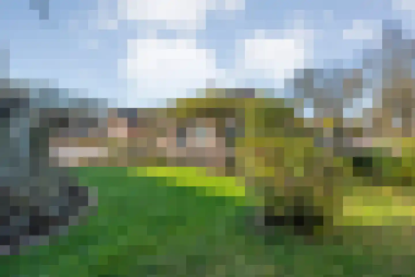 Zwaluwstraat 1 de Lutte thumbnail 30