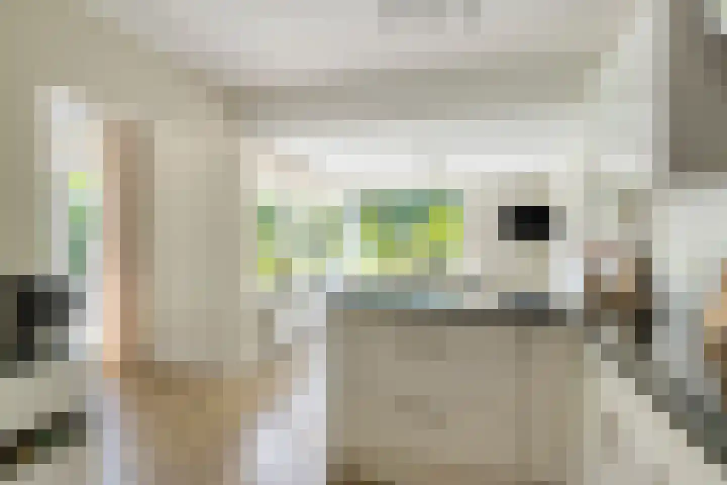 Zwaluwstraat 10 de Lutte thumbnail 16