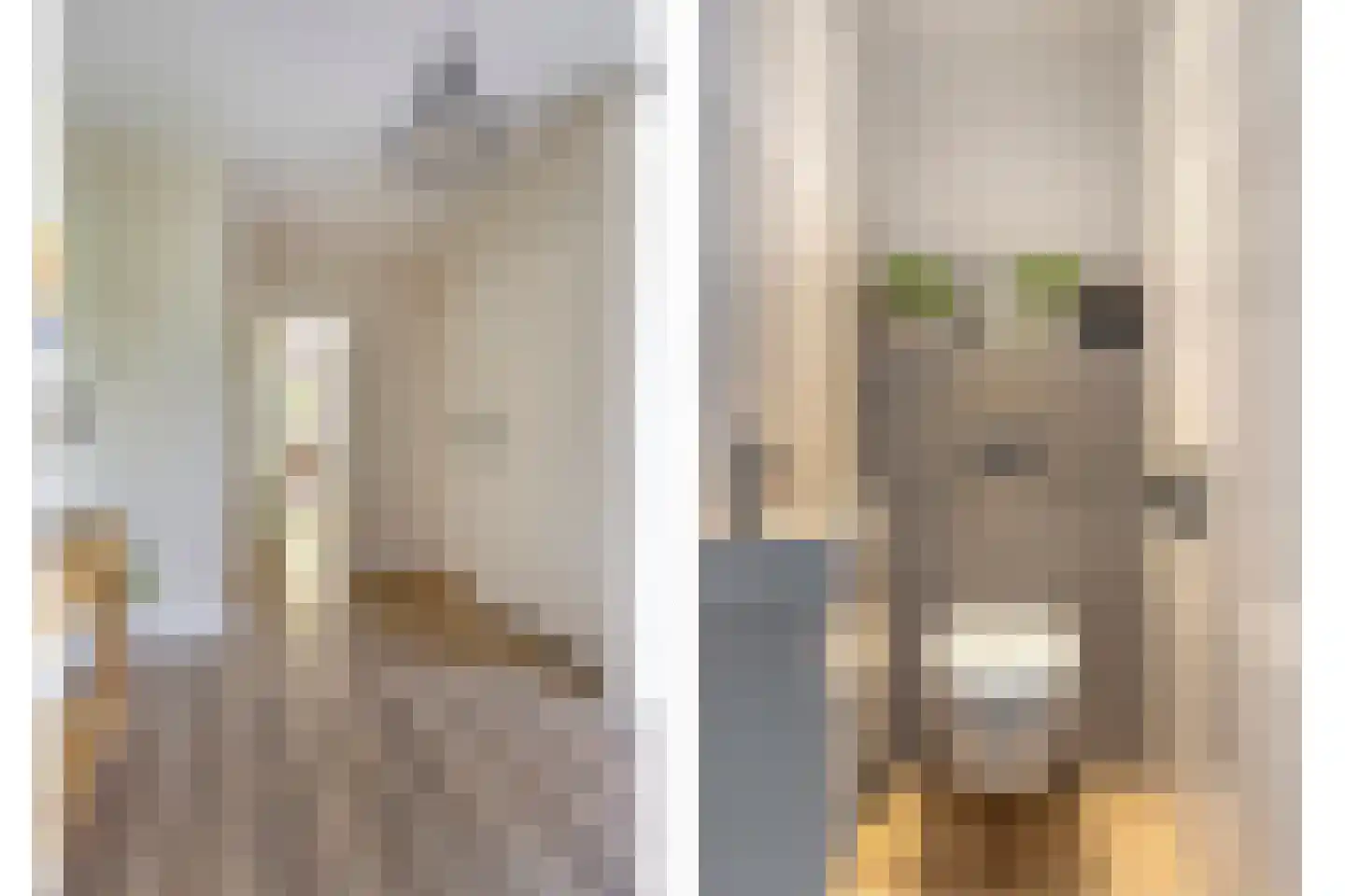 Zwaluwstraat 10 de Lutte thumbnail 18