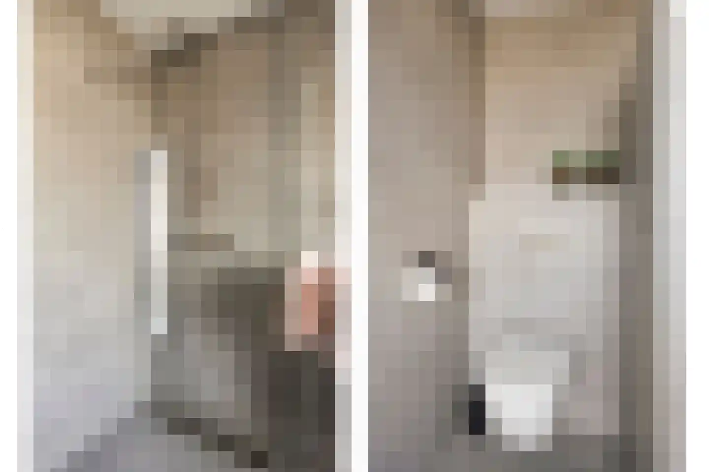 Zwaluwstraat 10 de Lutte thumbnail 22
