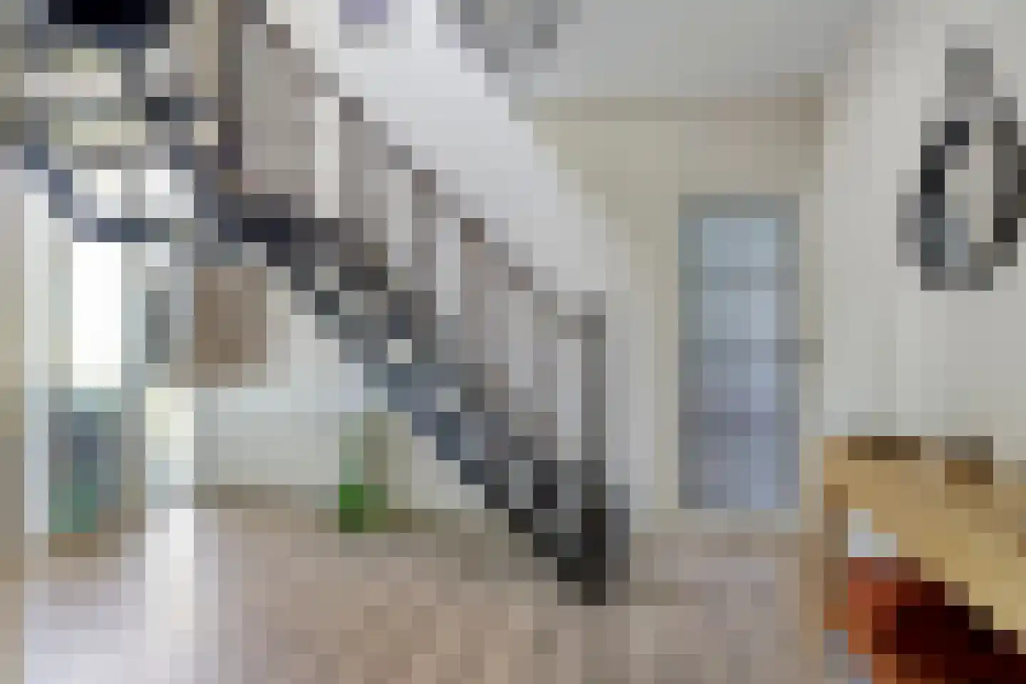 Zwaluwstraat 10 de Lutte thumbnail 23