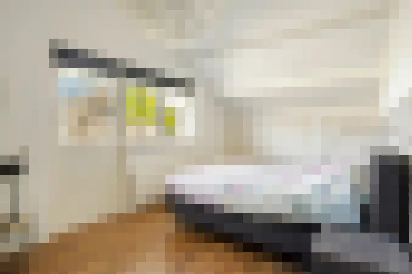 Zwaluwstraat 10 de Lutte thumbnail 25