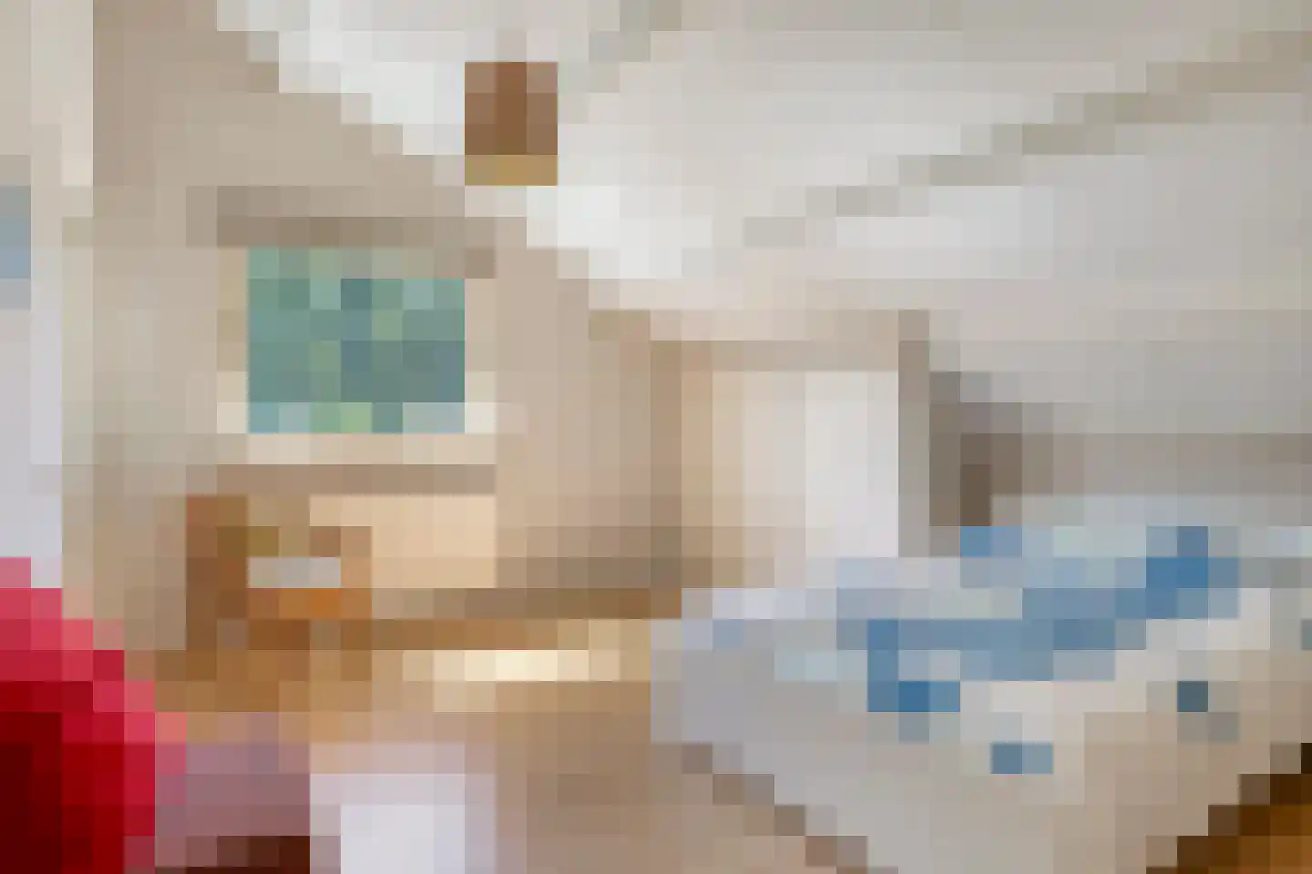 Zwaluwstraat 10 de Lutte thumbnail 28