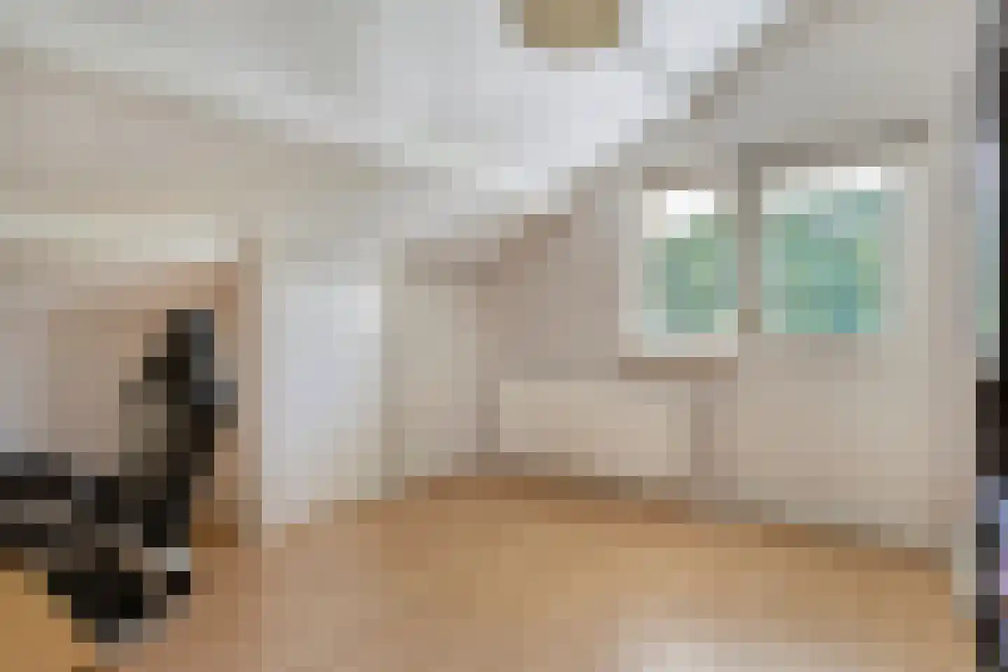 Zwaluwstraat 10 de Lutte thumbnail 29