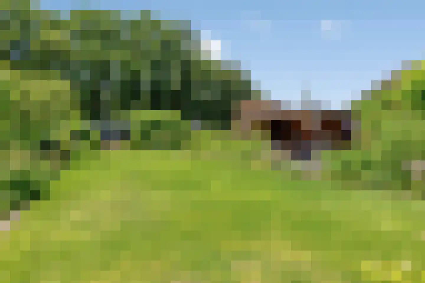 Zwaluwstraat 10 de Lutte thumbnail 36