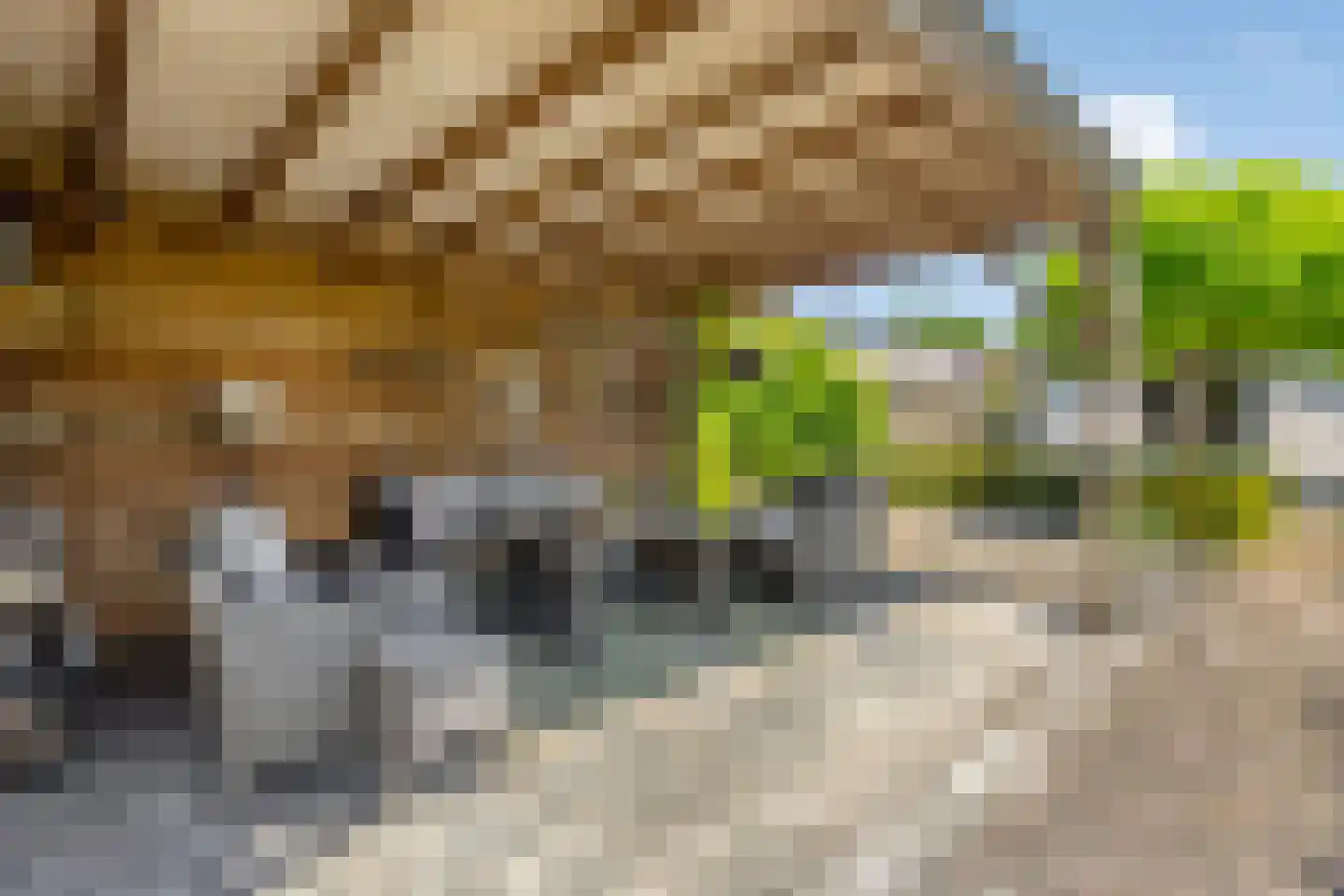 Zwaluwstraat 10 de Lutte thumbnail 38