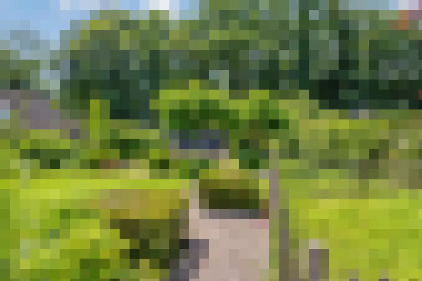 Zwaluwstraat 10 de Lutte thumbnail 39