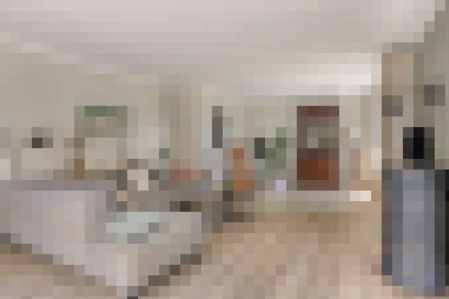 Zwaluwstraat 10 de Lutte thumbnail 4