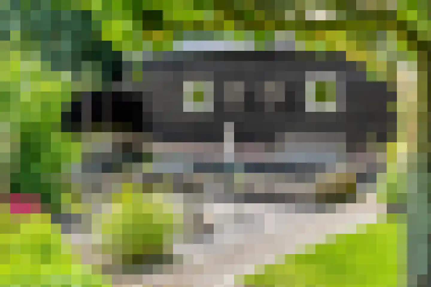 Zwaluwstraat 10 de Lutte thumbnail 40