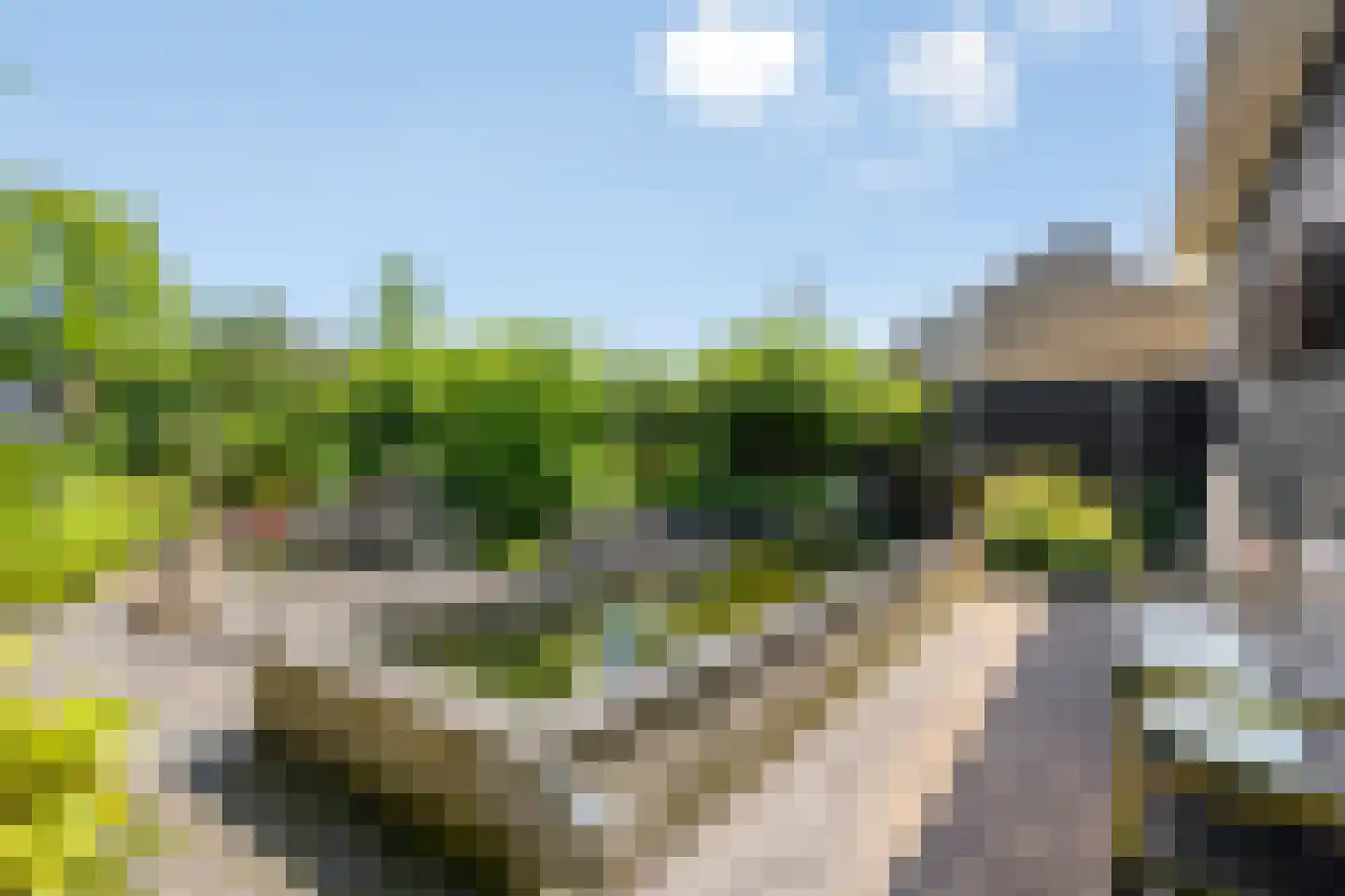 Zwaluwstraat 10 de Lutte thumbnail 41