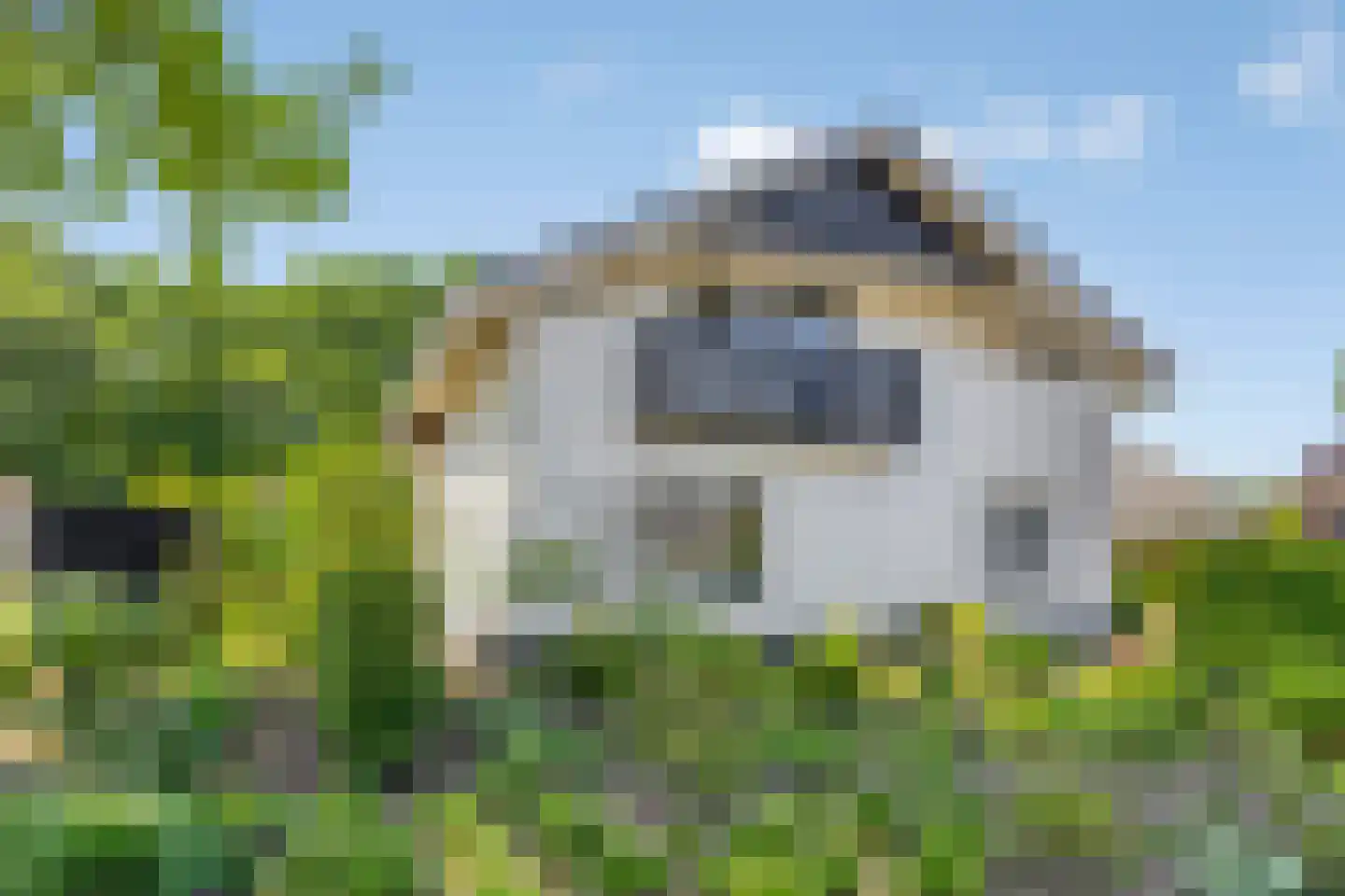 Zwaluwstraat 10 de Lutte thumbnail 47