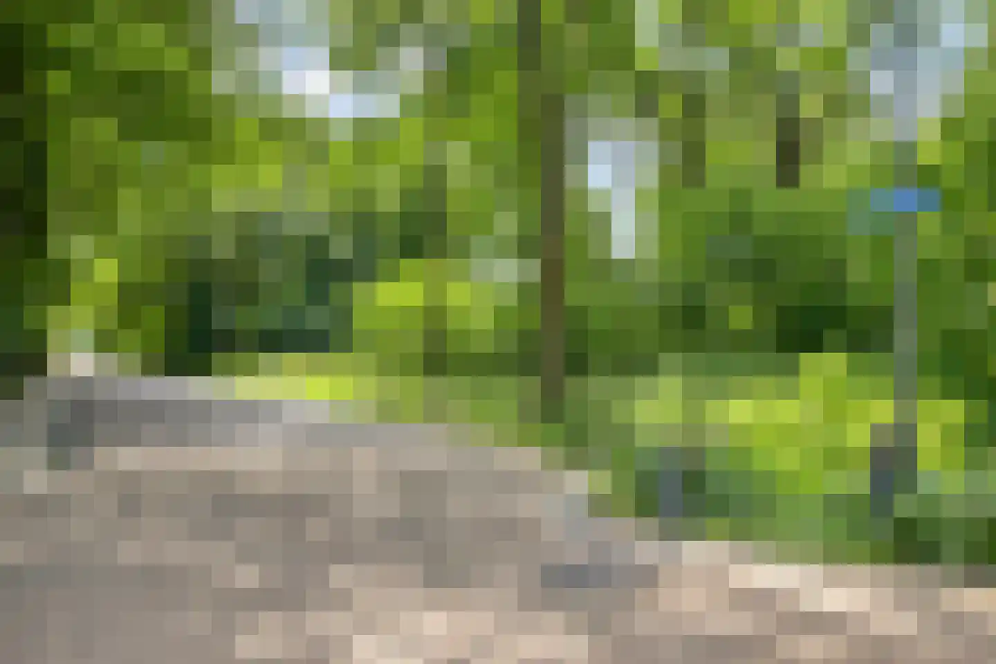 Zwaluwstraat 10 de Lutte thumbnail 49