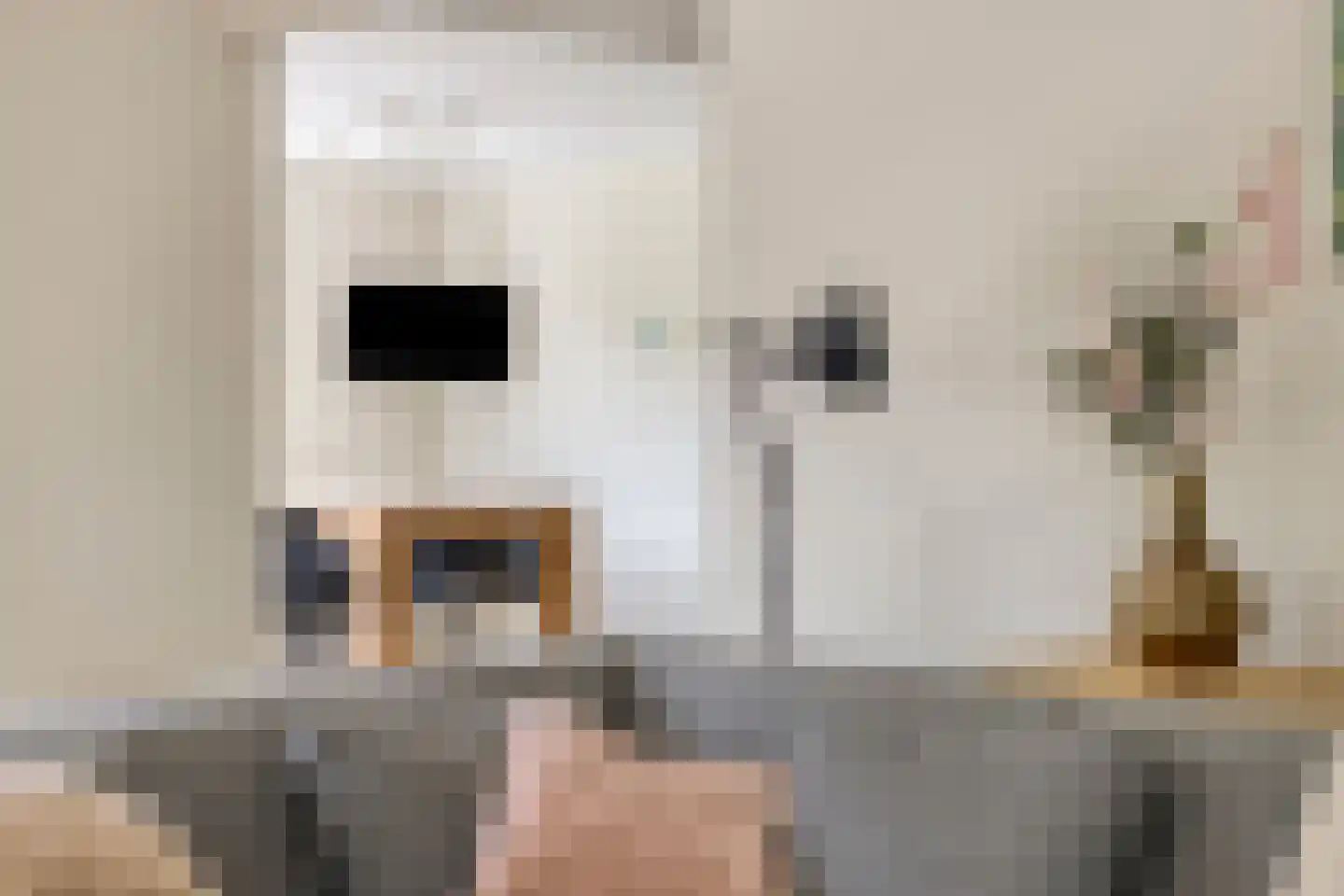 Zwaluwstraat 10 de Lutte thumbnail 9