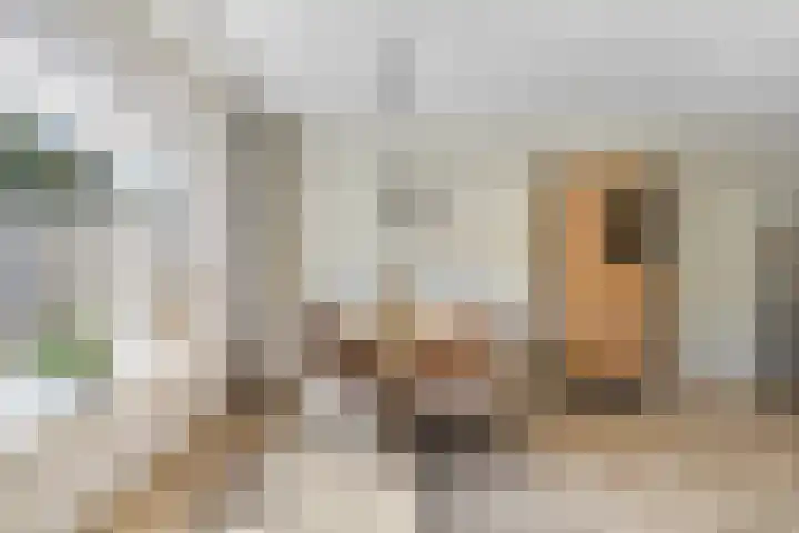 Zwaluwstraat 10 Goor thumbnail 10