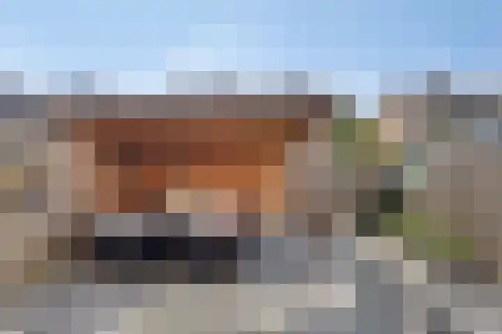 Zwaluwstraat 10 Goor thumbnail 30