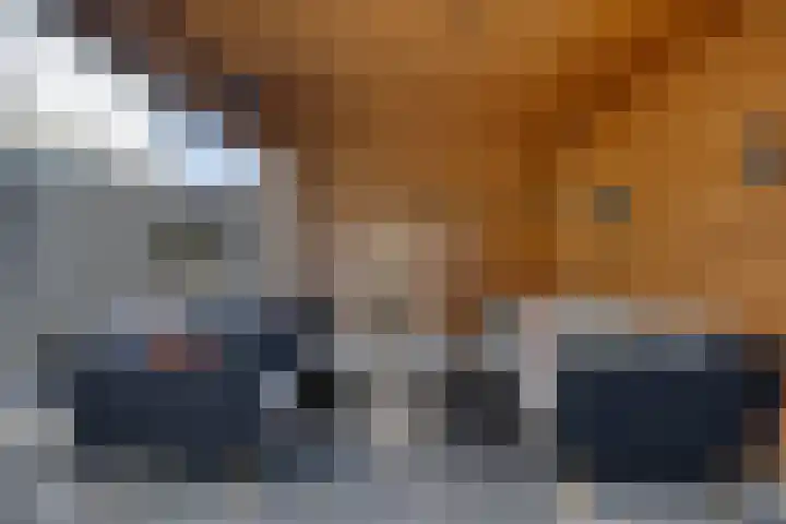 Zwaluwstraat 10 Goor thumbnail 31