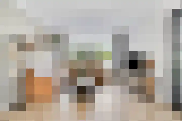 Zwaluwstraat 10 Goor thumbnail 5