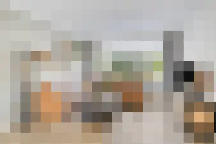 Zwaluwstraat 10 Goor thumbnail 6