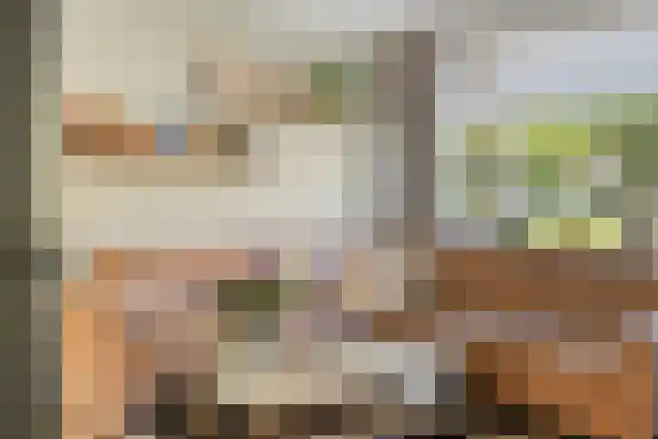 Zwaluwstraat 10 Goor thumbnail 7