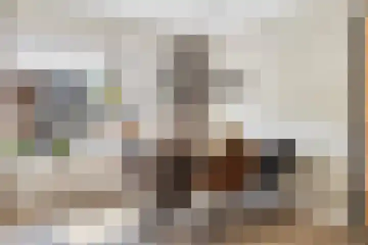Zwaluwstraat 10 Goor thumbnail 9