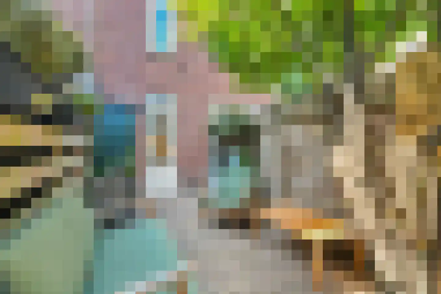 Zwaluwstraat 10 Haarlem thumbnail 28