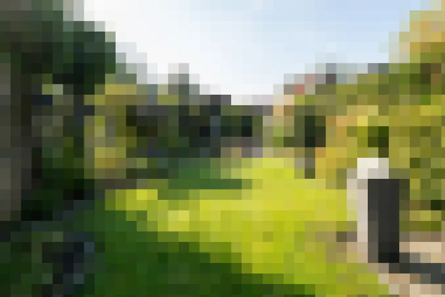 Zwaluwstraat 10 Hengelo thumbnail 33