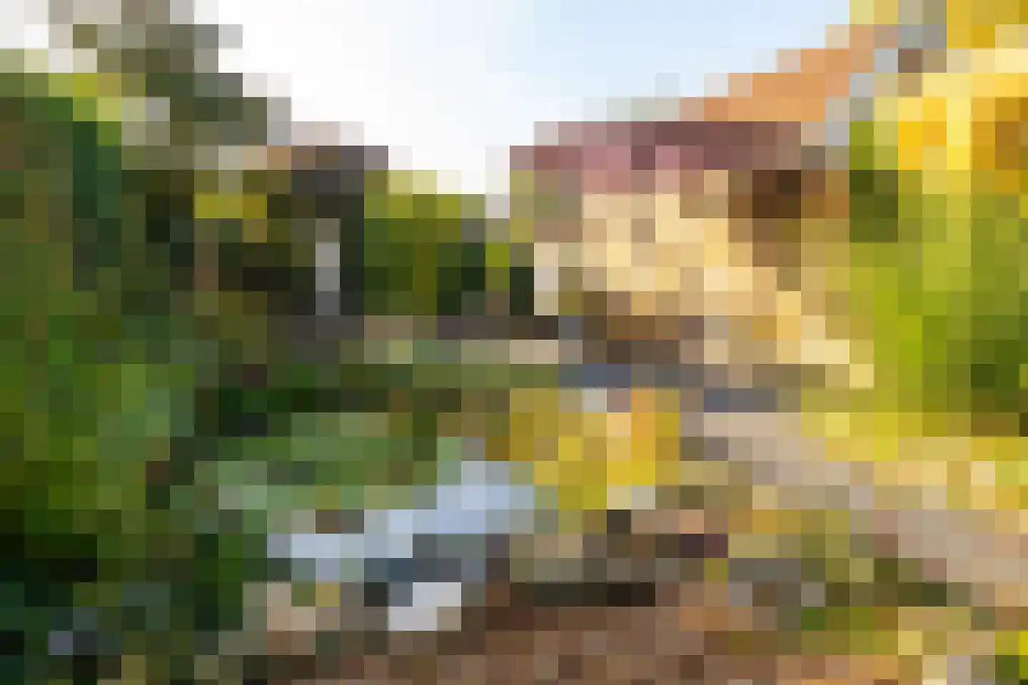Zwaluwstraat 10 Hengelo thumbnail 34