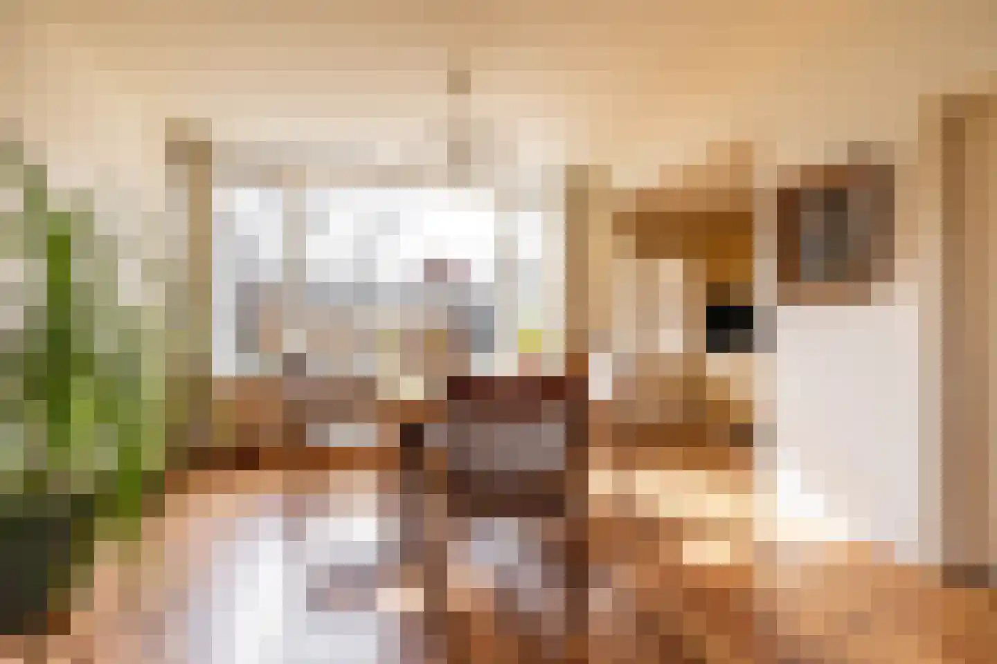 Zwaluwstraat 10 Norg thumbnail 18