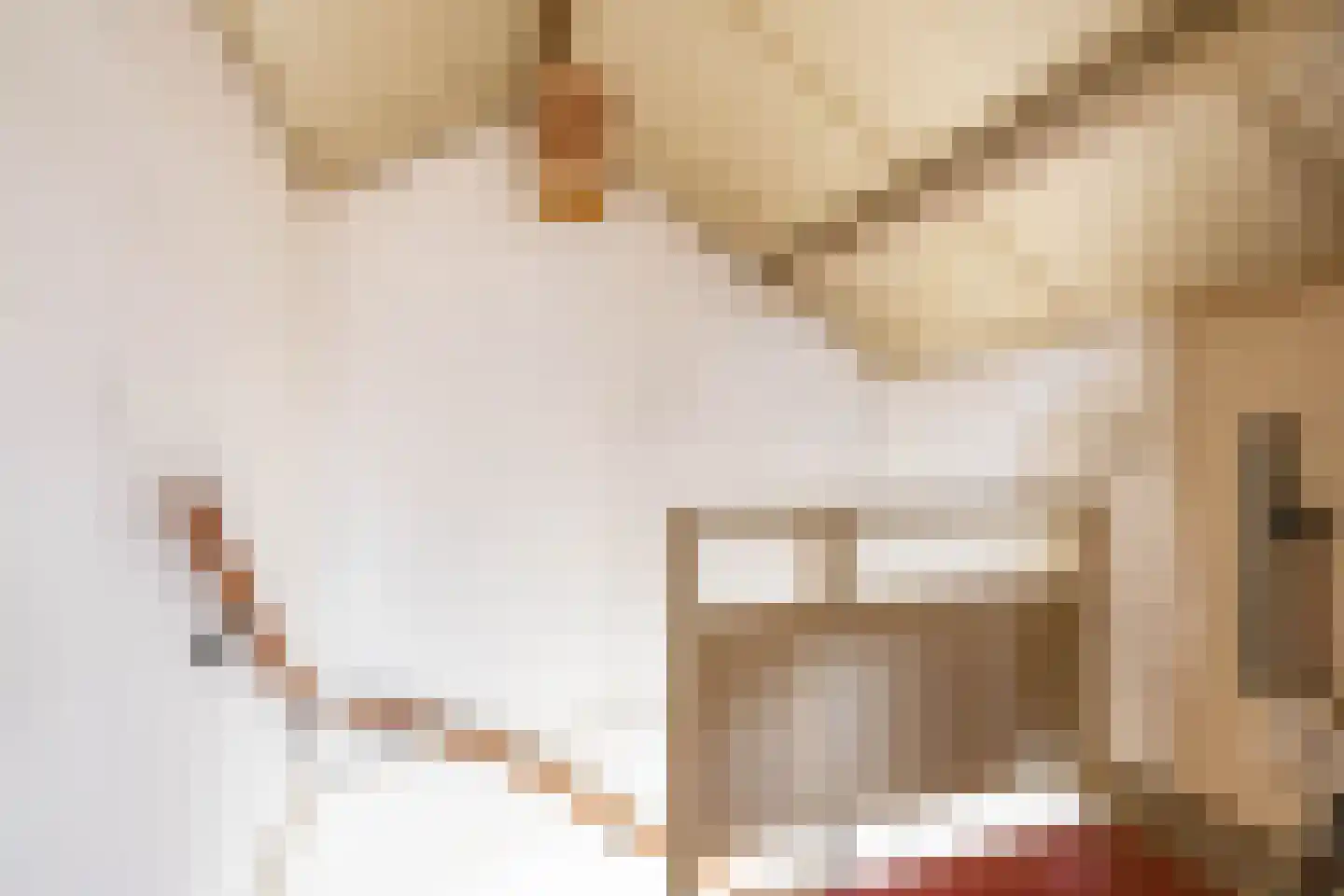 Zwaluwstraat 10 Norg thumbnail 34