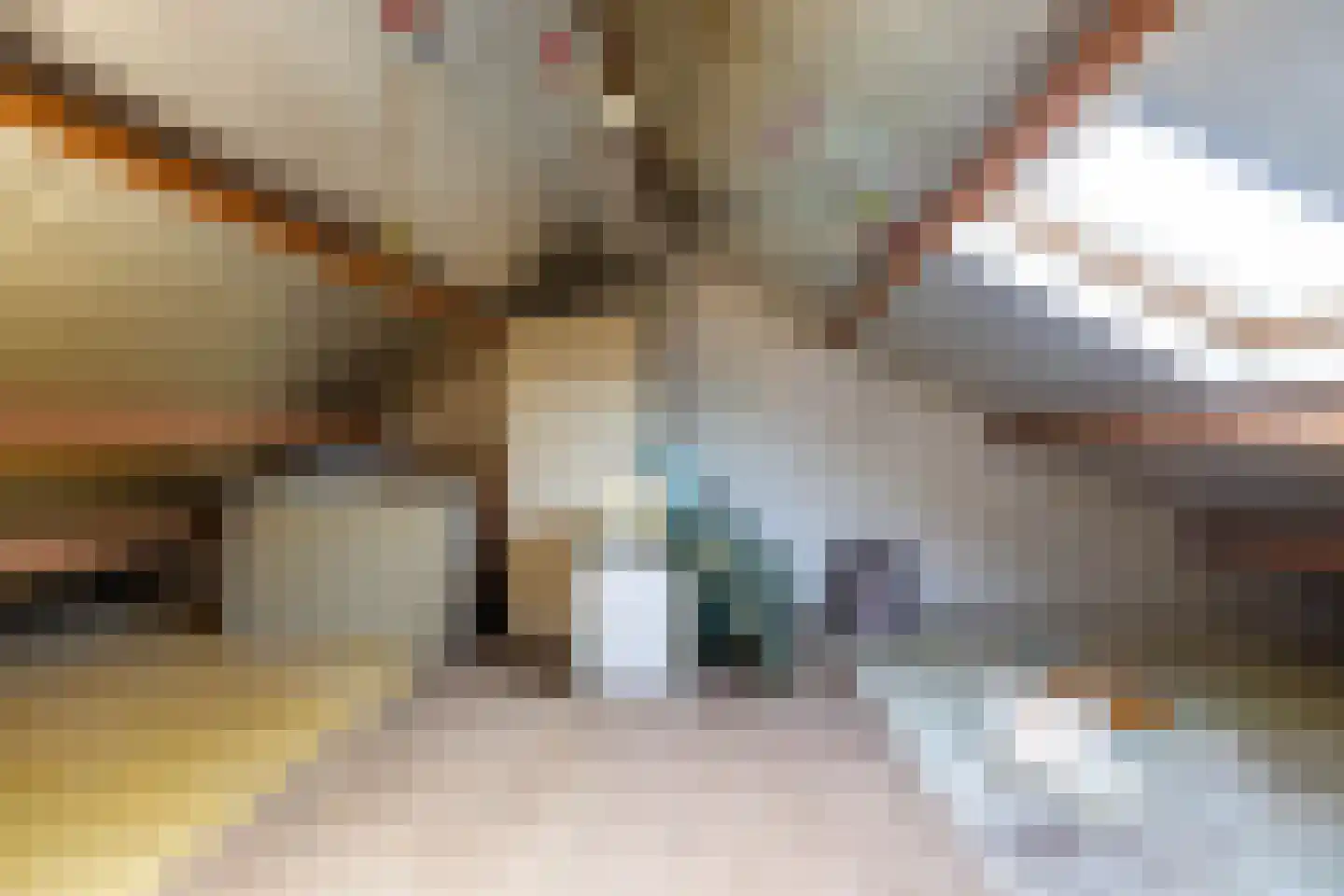 Zwaluwstraat 10 Norg thumbnail 35