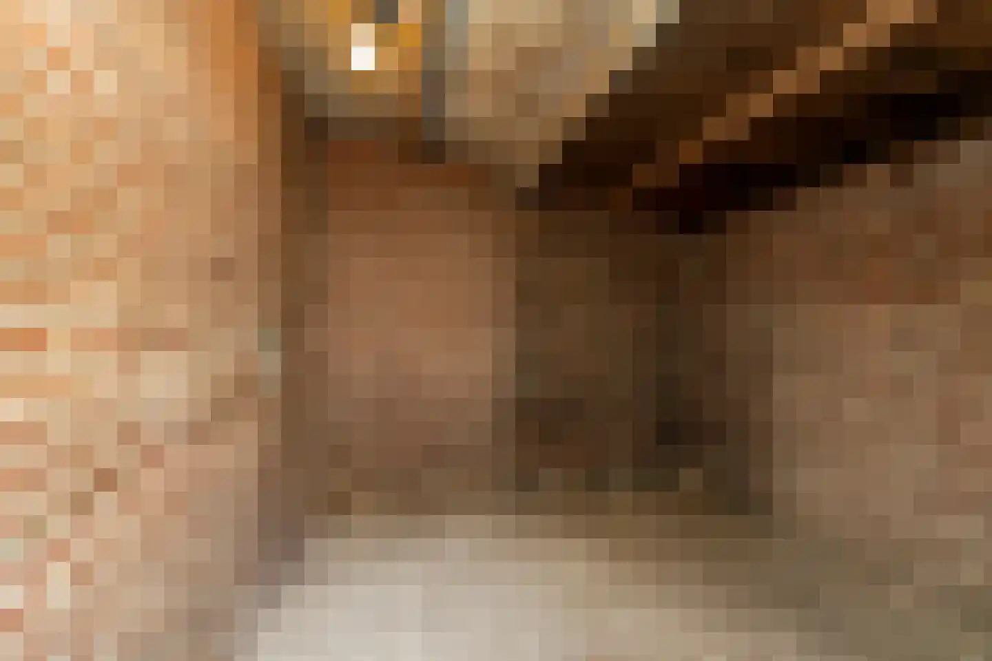 Zwaluwstraat 10 Tilburg thumbnail 31