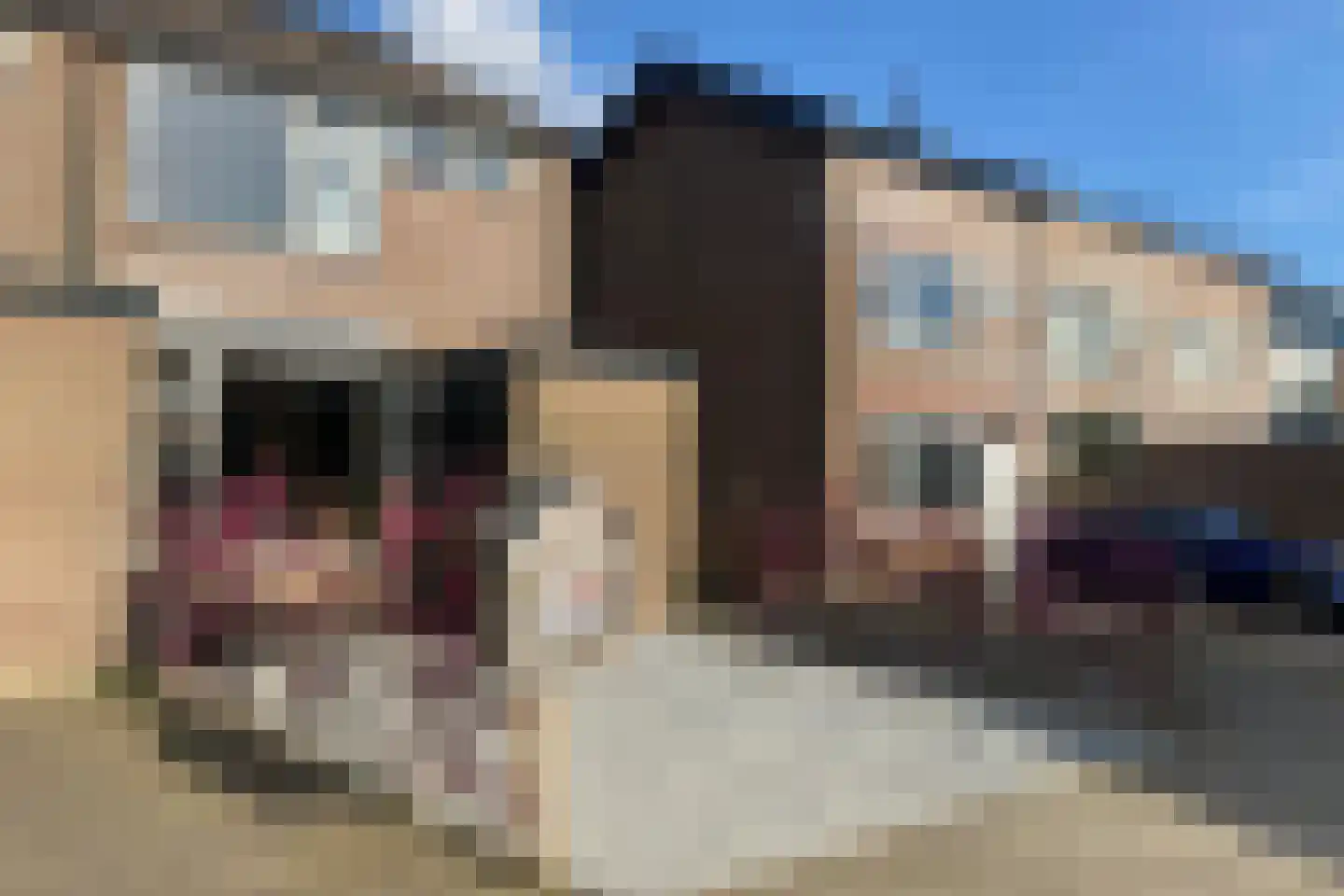 Zwaluwstraat 104 Ermelo thumbnail 4
