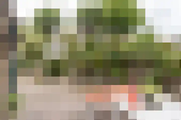 Zwaluwstraat 116 Ermelo thumbnail 7