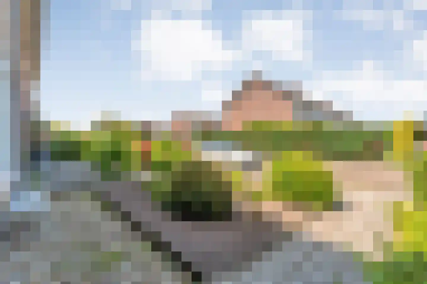 Zwaluwstraat 12 Hardenberg thumbnail 26