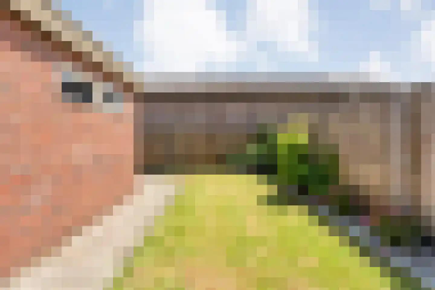 Zwaluwstraat 12 Hardenberg thumbnail 33