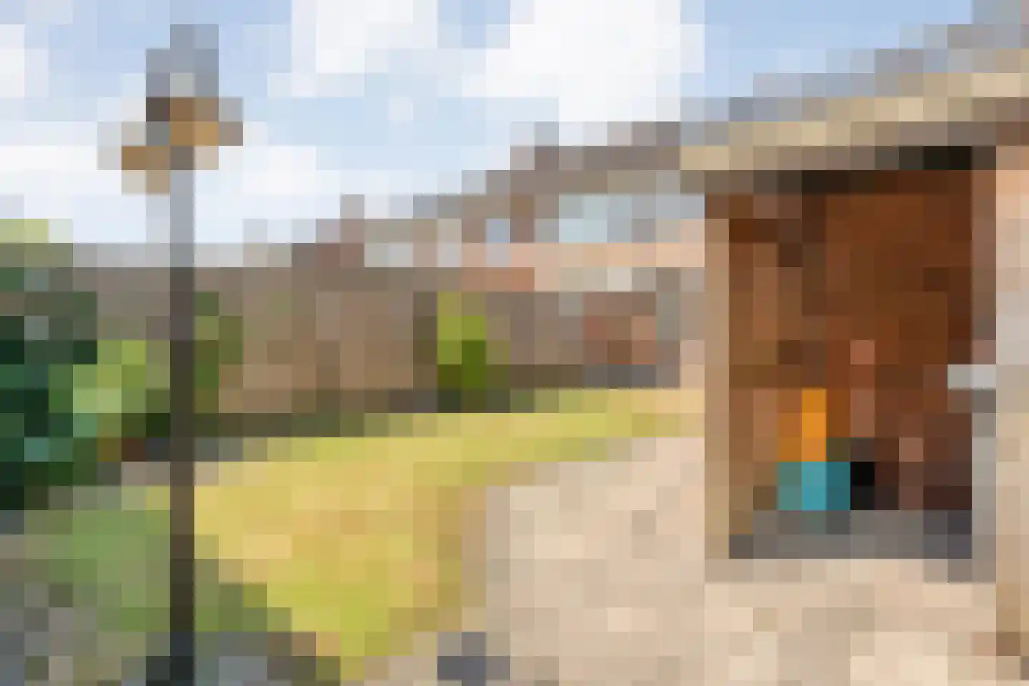 Zwaluwstraat 12 Hardenberg thumbnail 35