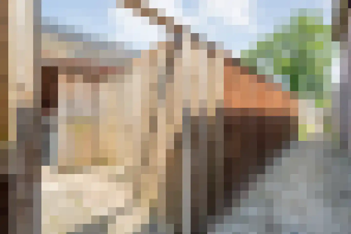 Zwaluwstraat 12 Hardenberg thumbnail 36