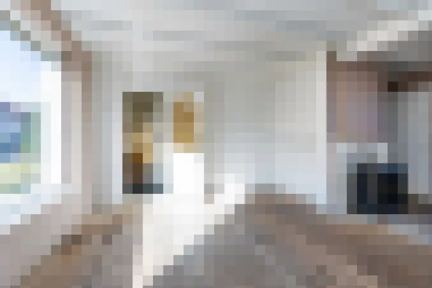 Zwaluwstraat 12 Hattemerbroek thumbnail 10