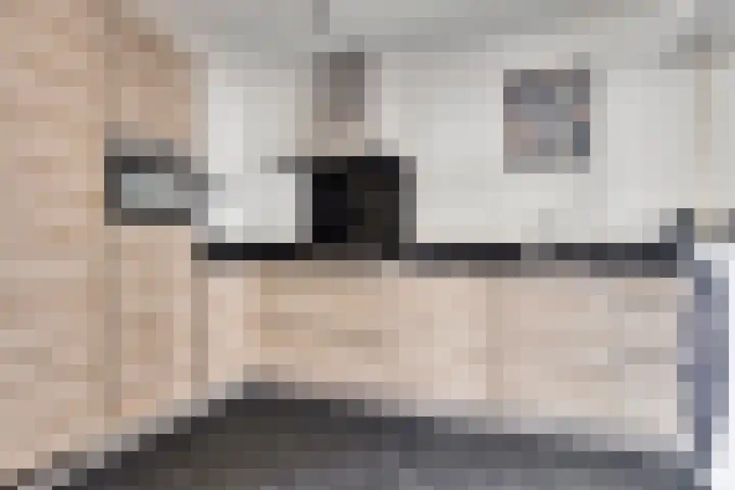 Zwaluwstraat 12 Hulst thumbnail 16