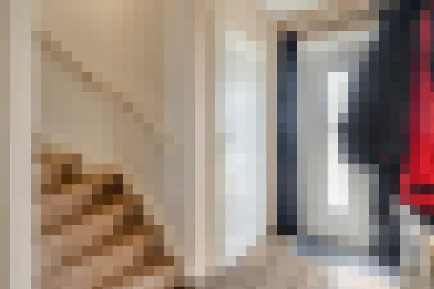Zwaluwstraat 12 Hulst thumbnail 20