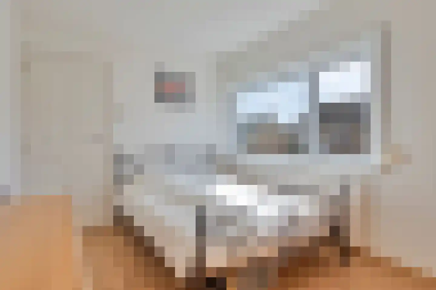 Zwaluwstraat 12 Hulst thumbnail 25