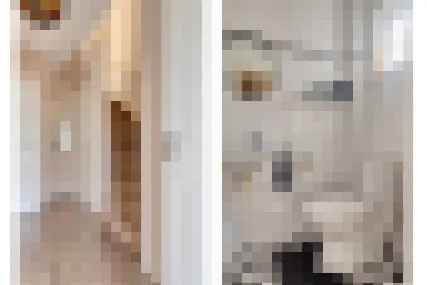 Zwaluwstraat 12 Hulst thumbnail 8