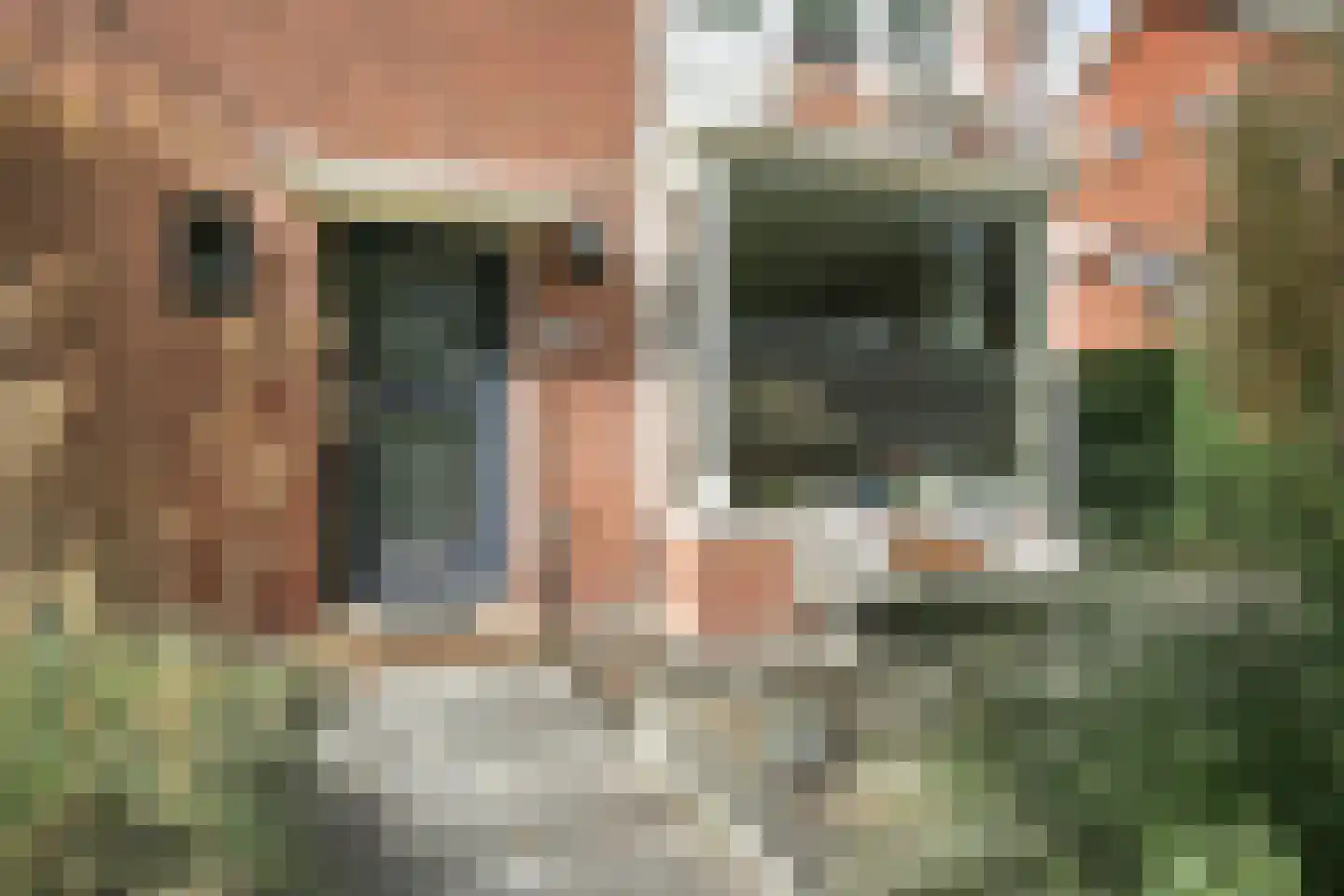 Zwaluwstraat 13 Badhoevedorp thumbnail 21