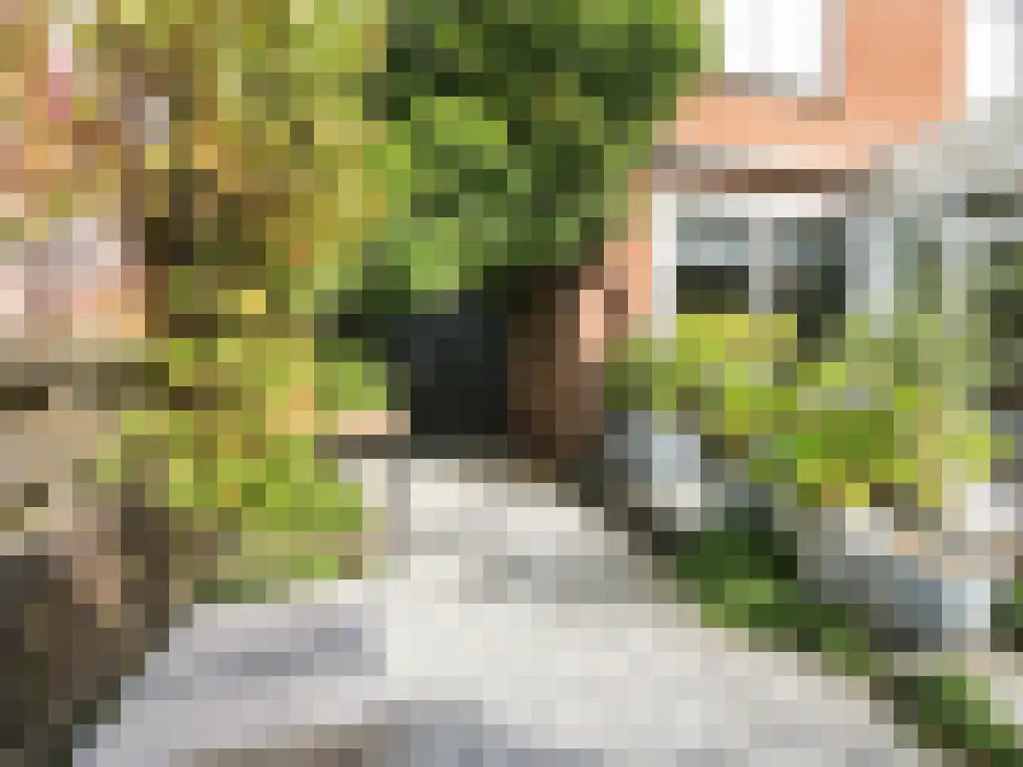 Zwaluwstraat 13 Badhoevedorp thumbnail 45