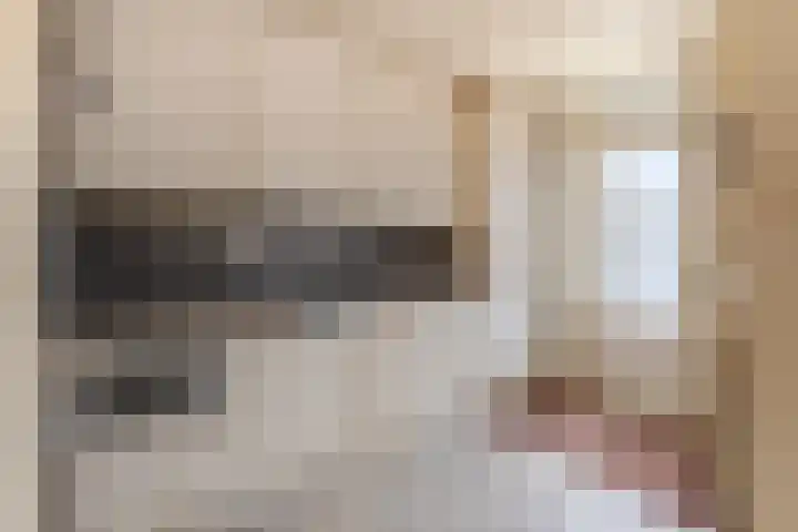 Zwaluwstraat 13 Sliedrecht thumbnail 8