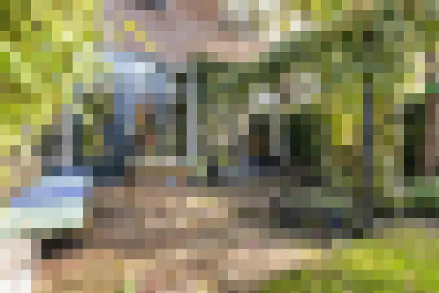 Zwaluwstraat 131 Ermelo thumbnail 13